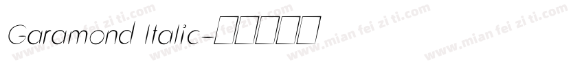 Garamond ltalic字体转换